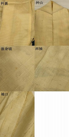 平和屋着物＊夏物 訪問着 生紬 流水草花文 正絹 逸品 AABG3916jd