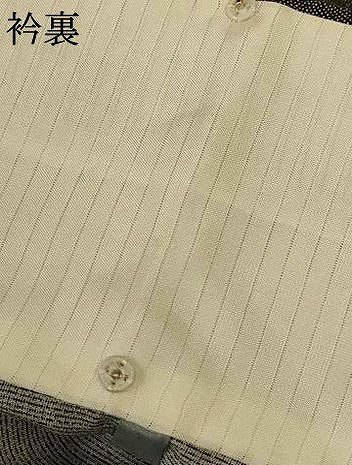 平和屋着物＊夏物 江戸小紋 変わり絽 作家物 鮫小紋柄 ロング丈 正絹 逸品 AABG3917jd