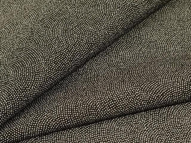 平和屋着物＊夏物 江戸小紋 変わり絽 作家物 鮫小紋柄 ロング丈 正絹 逸品 AABG3917jd
