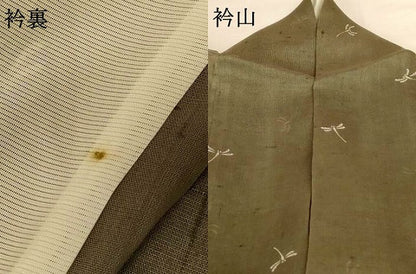 平和屋着物＊夏物 絹芭蕉 小紋 蜻蛉 正絹 逸品 AABG3923jd