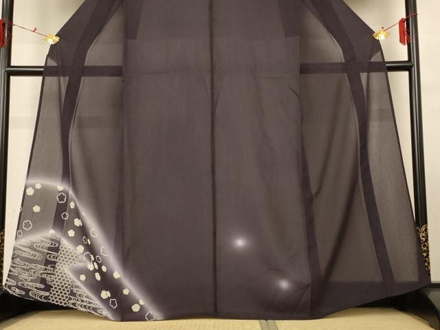 平和屋着物＊夏物　訪問着　紗　雪輪文　暈し染め　正絹　逸品　AABG3936jd