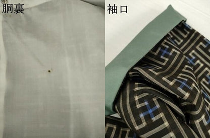 平和屋着物●本場大島紬　龍郷絣　秋名バラ　正絹　逸品　AABG4001ck