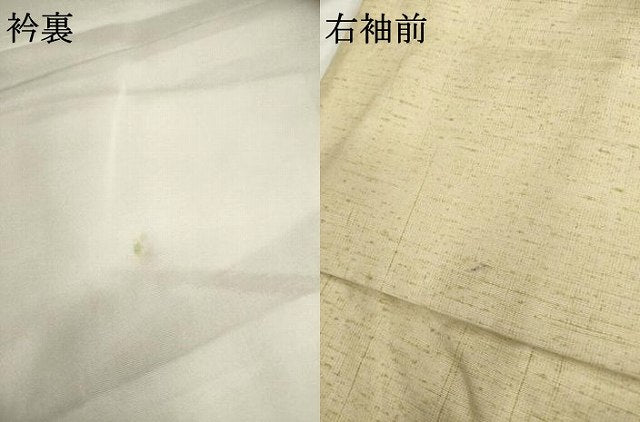 平和屋着物●訪問着　紬地　手描き　枝椿　正絹　逸品　AABG4019ck