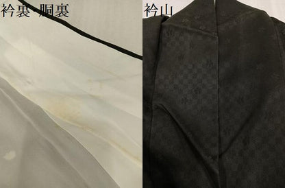 平和屋着物●訪問着　夜桜　黒地　金彩　正絹　逸品　AABG4095ph