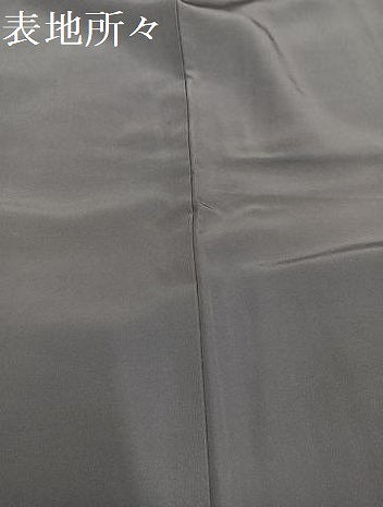 平和屋着物●上質な色無地　桔梗鼠色　正絹　逸品　AABG4125ph