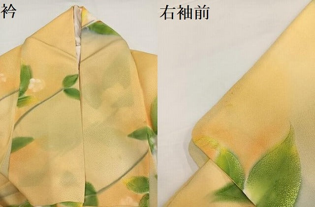平和屋着物●上質な小紋　地紋起こし　草花文　暈し染め　正絹　逸品　AABG4131ph