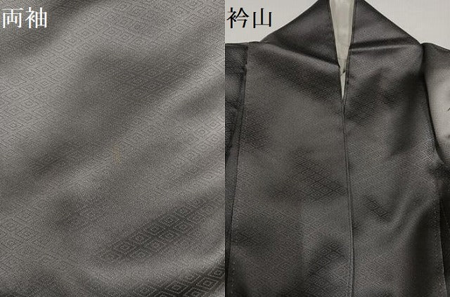 平和屋着物●訪問着　舞蝶草花文　暈し染め　金彩　正絹　逸品　AABG4149ph