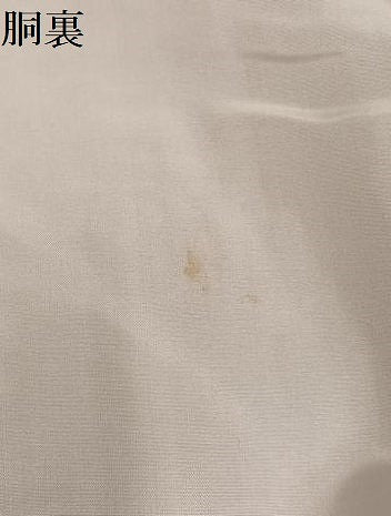 平和屋着物●上質な色無地　枝梅地紋　水柿色　正絹　逸品　AABG4151ph