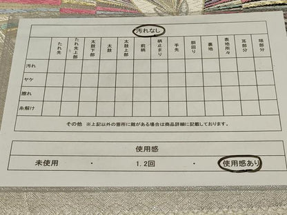 平和屋着物◎六通柄袋帯　唐織　舞蝶文　金銀糸　正絹　逸品　AABG4199ou
