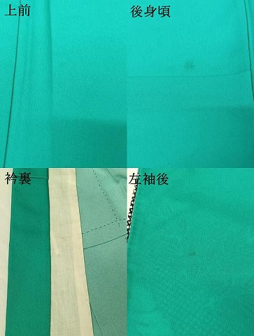 平和屋着物▽訪問着 単衣 藤文 洗える着物 AABG4230jh