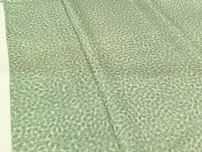 平和屋着物▽上質な小紋 単衣 霞文 正絹 逸品 AABG4260jh