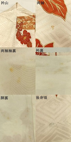 平和屋着物●豪華振袖　駒刺繍　草花文　金彩　正絹　逸品　AABG4362fy