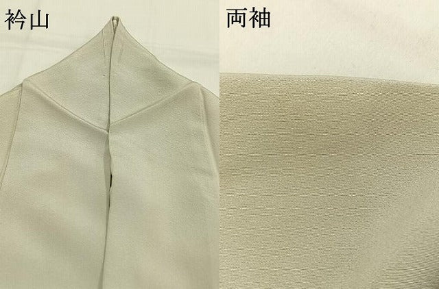 平和屋着物●訪問着　作家物　手描き　水鳥　正絹　逸品　AABG4379fy