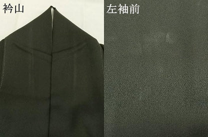 平和屋着物●訪問着　飛鳥文　黒地　三越扱い　正絹　逸品　AABG4396fy