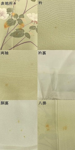 平和屋着物●訪問着　友禅　作家物　枝花文　正絹　逸品　AABG4440fy