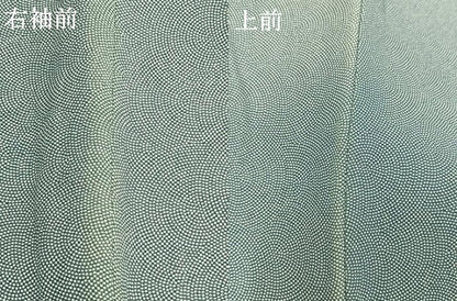 平和屋着物●江戸小紋　鮫小紋柄　さが美扱い　正絹　逸品　AABG4474fy