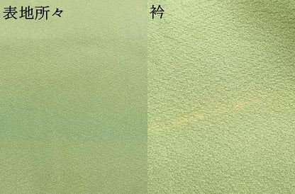 平和屋着物●上質な色無地　作家物　幻の染　岩石染　若菜色　正絹　逸品　AABG4477fy