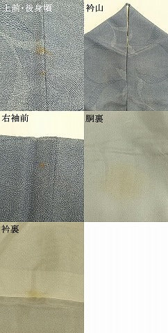 平和屋着物●江戸小紋　作家物　枝葉文　正絹　逸品　AABG4499fy