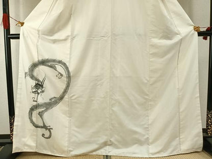 平和屋着物●訪問着　手描き　龍　やまと誂製　正絹　逸品　AABG4520fy