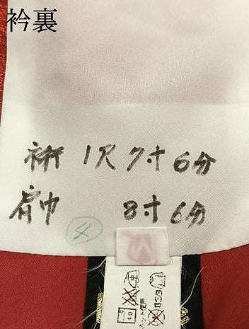 平和屋着物●小振袖　二尺袖　草花文　洗える着物　AABG4568fy