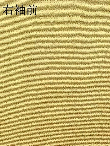 平和屋着物●豪華色留袖　駒刺繍　地紙花鳥文　暈し染め　金彩　正絹　逸品　AABG4591fy