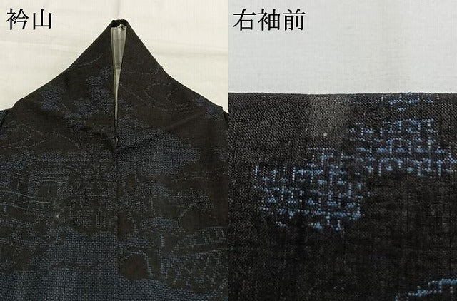 平和屋着物●本場結城紬　重要無形文化財　100亀甲　雲取り風景花文　正絹　逸品　AABG4617fy