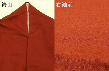 平和屋着物●豪華振袖　舞桜文　金彩　正絹　逸品　AABG4644fy