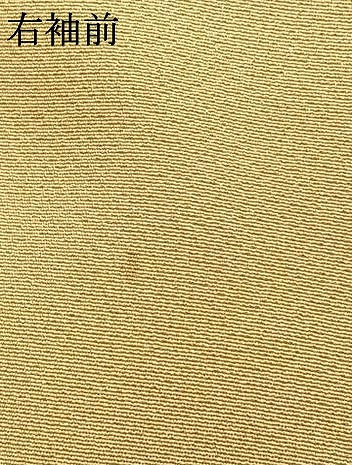 平和屋着物●訪問着　友禅　枝花文　枯色　暈し染め　金彩　正絹　逸品　AABG4706fy