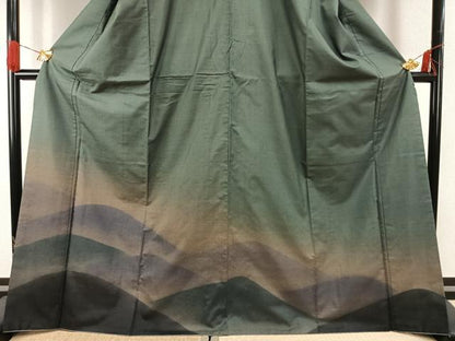 平和屋着物●本場大島紬　染大島　訪問着　風景文　正絹　逸品　AABG4774fy
