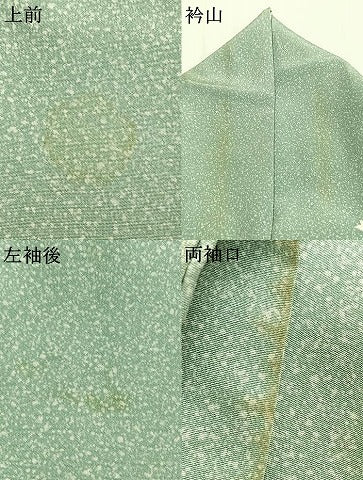 平和屋着物●訪問着　友禅　花鳥文　暈し染め　正絹　逸品　AABG4785fy