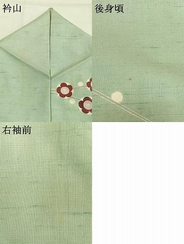 平和屋着物●田中勇吉　訪問着　紬地　枝梅文　正絹　逸品　AABG4809fy