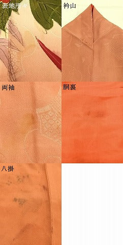 平和屋着物●アンティーク　大正ロマン　訪問着　手描き　草花文　暈し染め　金彩　正絹　逸品　AABG4813fy