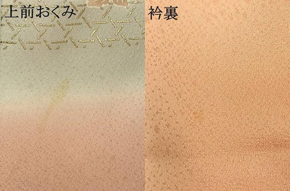 平和屋着物●訪問着　友禅　刺繍　草花文　暈し染め　金彩　正絹　逸品　AABG4815fy