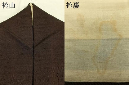 平和屋着物●伊兵衛織　工芸手織　霞文　正絹　逸品　AABG4839fy