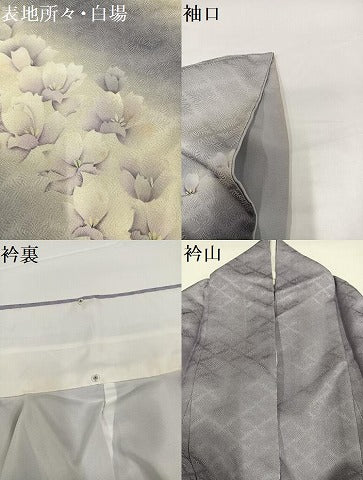 平和屋着物●訪問着　舞花文　暈し染め　正絹　逸品　AABG4845ph