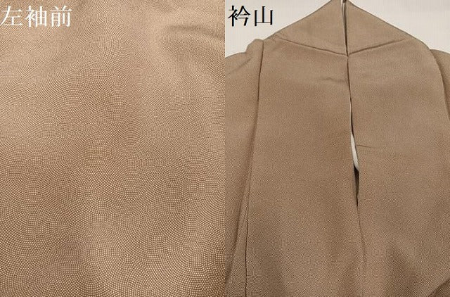 平和屋着物●江戸小紋　鮫小紋柄　ロング丈　正絹　逸品　AABG4879ph