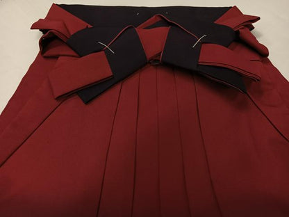 平和屋着物●女性　行灯袴　刺繍　舞桜文　暈し染め　金糸　洗える着物　未使用　AABG4902ph