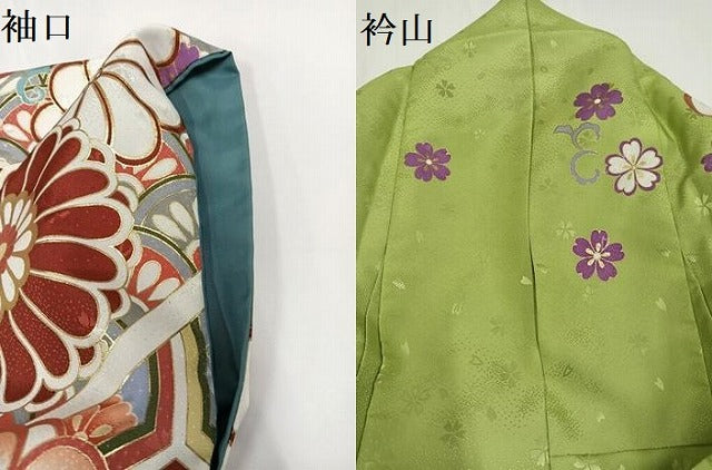 平和屋着物●川栄李奈　小振袖　二尺袖　花尽くし　金彩　洗える着物　AABG4909ph