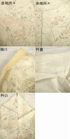 平和屋着物●上質な小紋　紬地　手描き　草花文　正絹　逸品　AABG4933ck