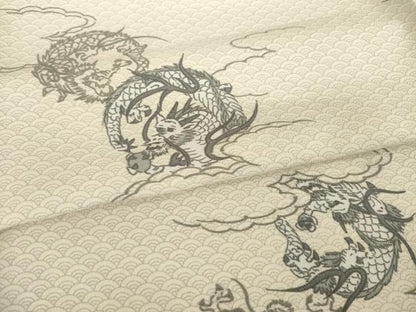 平和屋着物●小紋　龍　洗える着物　AABG4972ck