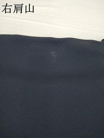 平和屋着物●訪問着　友禅　草花文　暈し染め　正絹　逸品　未使用　AABG4993ck