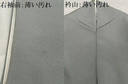平和屋着物■豪華色留袖 風景松文 暈し染め 金彩 正絹 逸品 AABG5005oa
