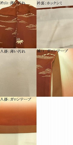 平和屋着物■訪問着　型染め　風景文　正絹　逸品　AABG5014oa