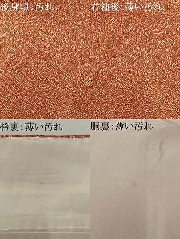 平和屋着物■江戸小紋 葡萄文 正絹 逸品 AABG5102oa