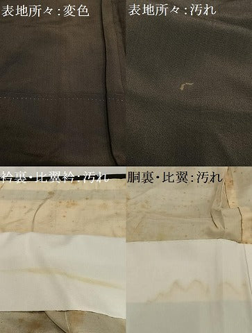平和屋着物■豪華黒留袖　飛鶴松文　金銀糸　金彩　正絹　逸品　AABG5125oa