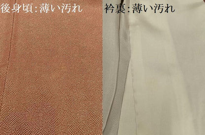 平和屋着物■江戸小紋 鮫小紋柄 正絹 逸品 AABG5190oa