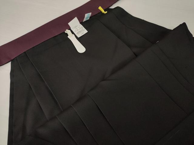 平和屋着物●女性　行灯袴　総刺繍　飾花文　暈し染め　金糸　洗える着物　AABG5232ck