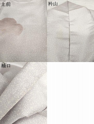 平和屋着物●本場大島紬　染大島　訪問着　椿　正絹　逸品　AABG5285cs