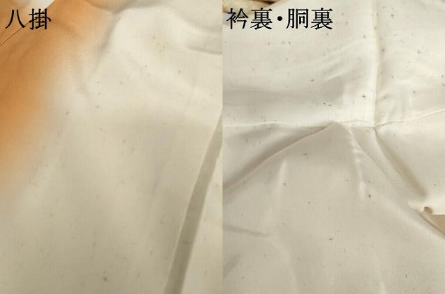 平和屋着物●上質な小紋　型染め　舞蝶文　鬼しぼ縮緬　正絹　逸品　AABG5312cs