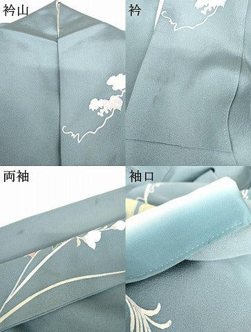 平和屋着物●訪問着　友禅　蔦の葉花文　暈し染め　金銀彩　正絹　逸品　AABG5332cs